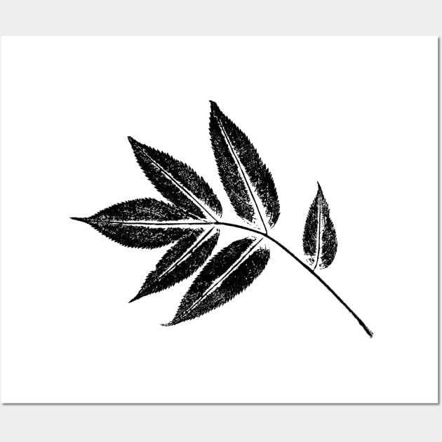 Ash Tree Leaf - Botanical Imprint Wall Art by Nikokosmos